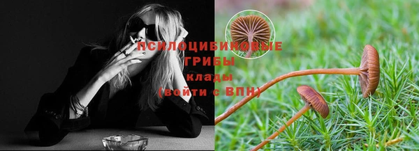 хмурый Мегион