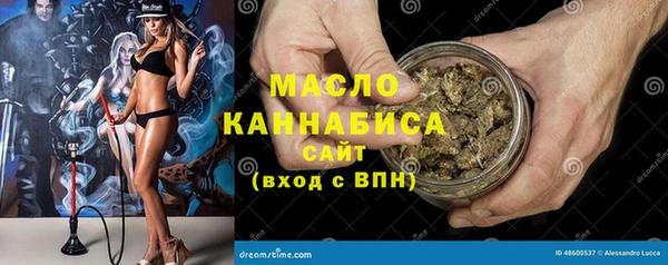 хмурый Мегион