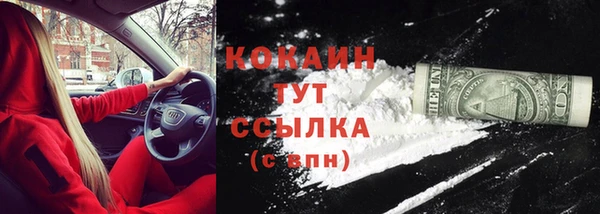 дурь Пестово