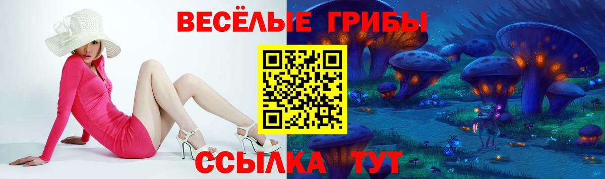 Всеволожск  Галлюциногенные грибы ЛСД  где купить наркоту  Вход с VPN  Псилоцибиновые грибы мухоморы 
